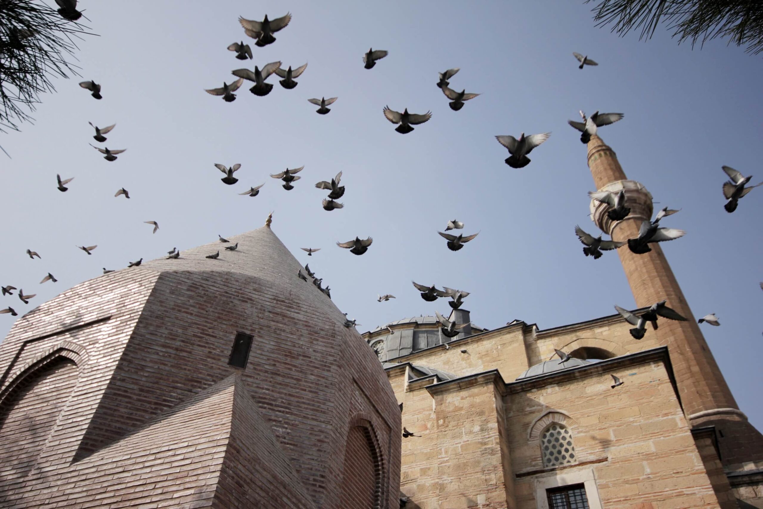 Pigeons soar over a historic mosque with a domed roof and minaret under a clear blue sky. The scene is peaceful and evokes a sense of freedom.